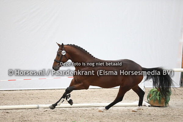 354 Dream Boy x De Niro