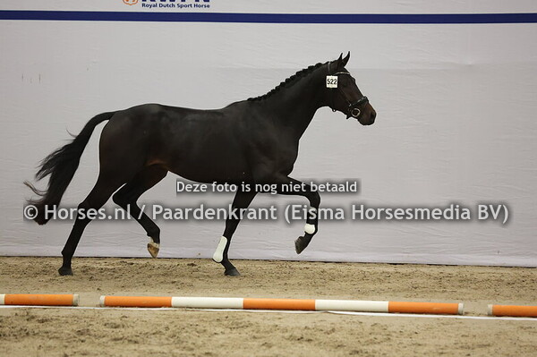 522 (Total McLaren x Oscar )