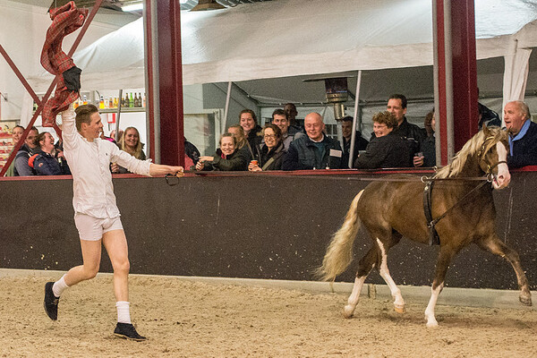 Hengstenshow Stal Ysselvliedt, HRKrol, Rondo