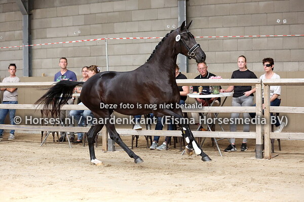 40 Soraya (Bonds x Kehinde Esther v. De Niro)