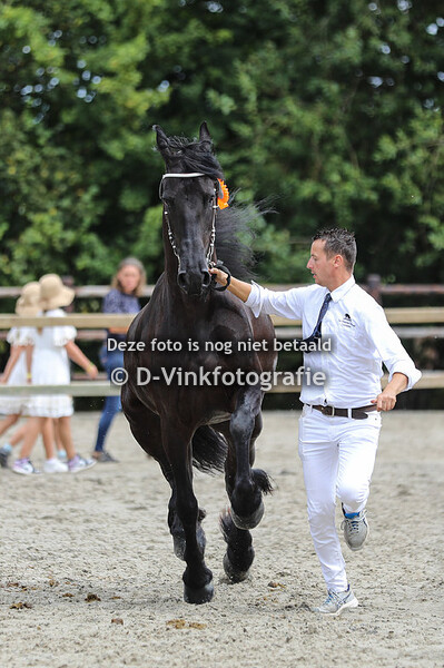 106. Yip fan Nico Stables