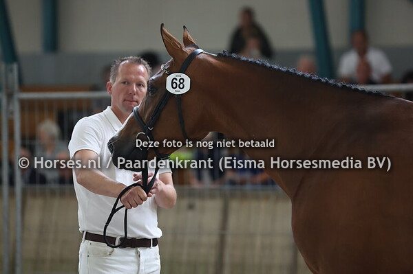 68 La Dame VDL Z (Landino VDL x Jeune Dame v. Zirocco Blue)