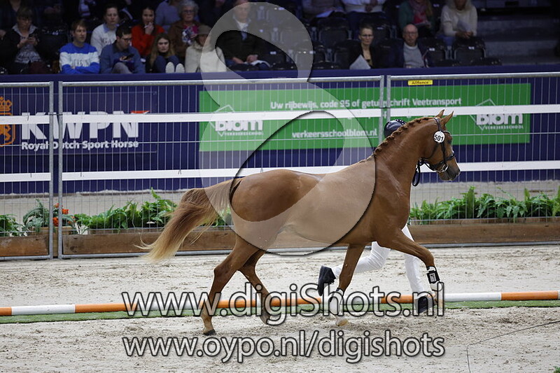 Radetzky S v. Sir Donnerhall I - 501