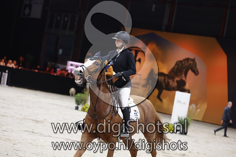 JK Horsetrucks Hopefull