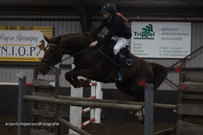 CH Nieuwe Pekela 12-11-2022 130-135cm