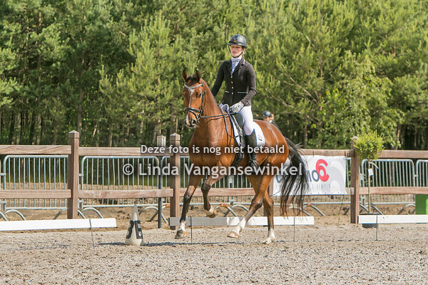 JP dressuur Lommel 24