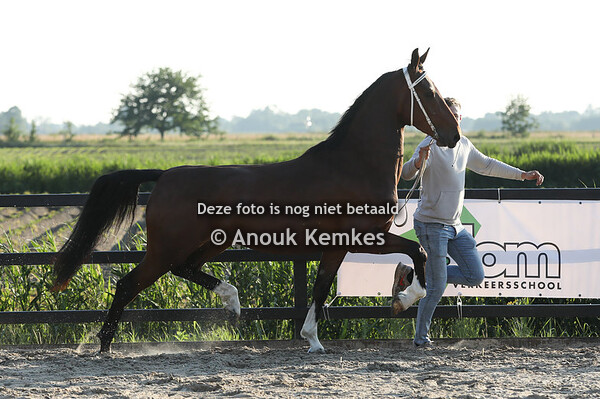 Rana ( Johnny Cash x Marvel ) 