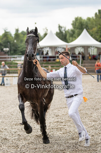 79. Karolien fan de Ketting