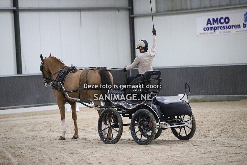 De Meern Mennen Dressuur 25-01-2025 Enkelspan M/Z 16.30 - 19.00 uur