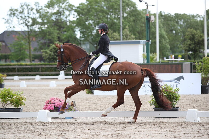 KNHS-Anemone Horse Trucks Cup 15-06-2024 Junioren Ring 1