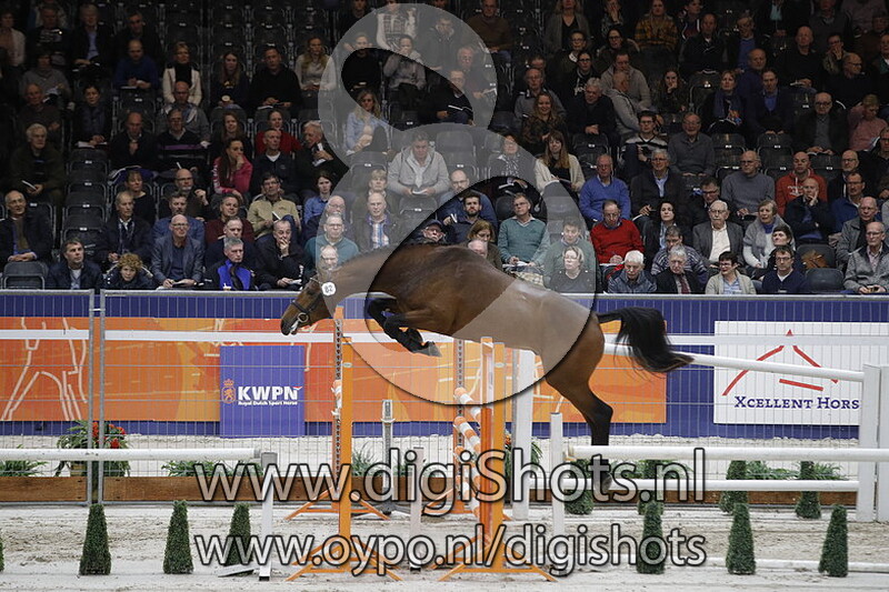 Luimstra's Lieverd v. Douglas