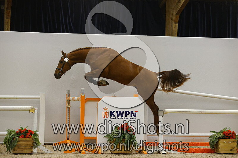 Nickelback VDL v. Douglas