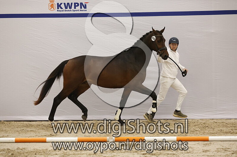 Survivor VR v. Revolution