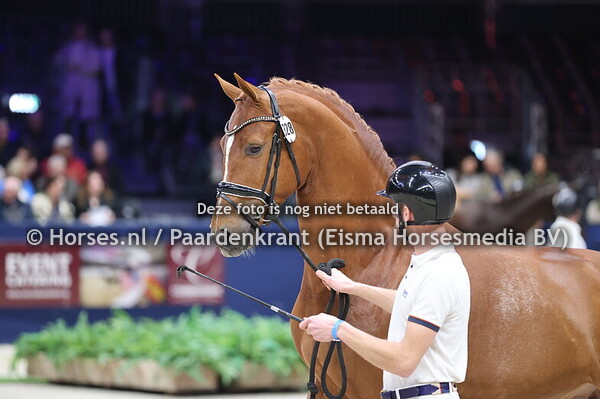 31-01-2025 KWPN HK 2e bez + presentatie dress