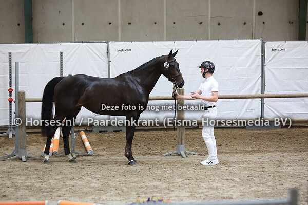 175 Relena (Liamant x Lena v. Cardento)