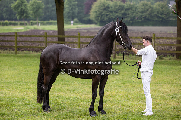 14. Roos A van de Holderhoeve