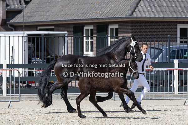 54. Davina van het Safiahof