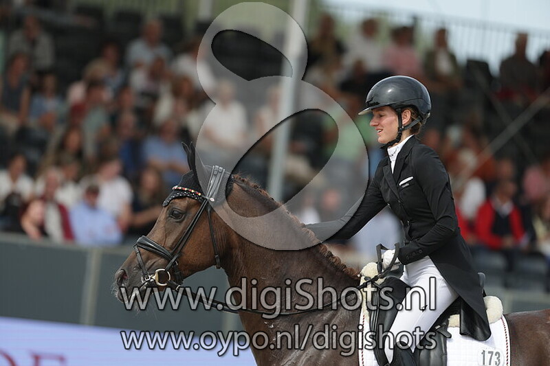 Fuechtels High Light OLD