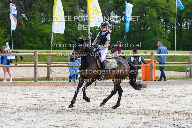 S21 Springen DE 100cm