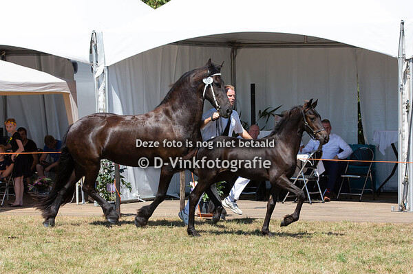 68. Iefke-Tsjerkje A