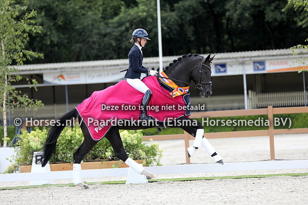 06-08-2022 Pavo Cup vierjarigen