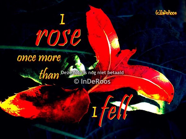 Woorspel en Beeldspraak: Spreuken