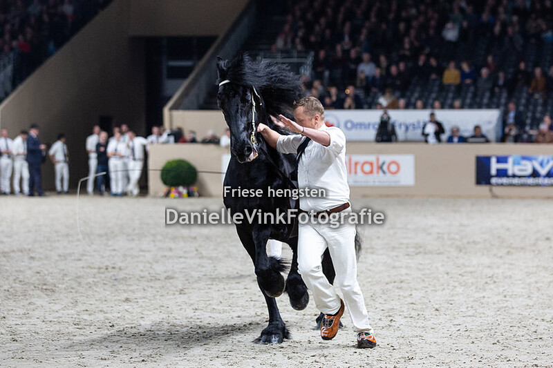 Hengstenkeuring 2020 Maeije 440