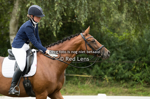 Kiara Van Grevenbroek