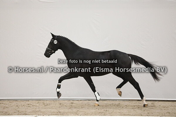 534 Painted Black x Negro