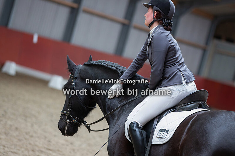 Desi van Son - Boris