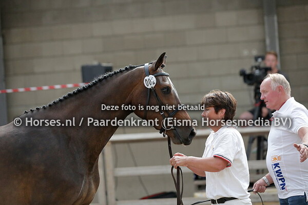 2 Otti Zottie (Harley VDL x Zotti Lottie v. Burggraaf)