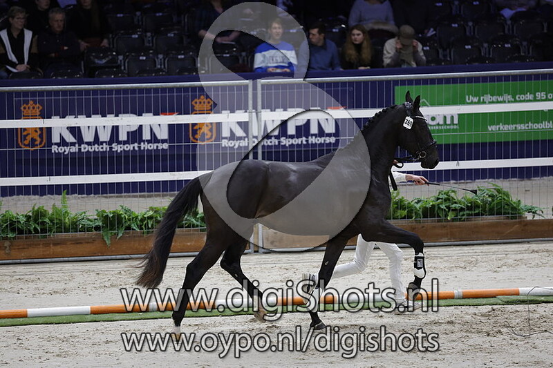 Reich Dior v. Furst Dior - 369