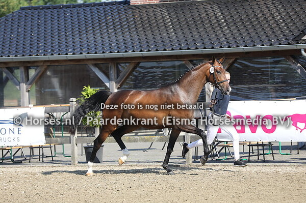 77 Olazirginia vd Watermolen