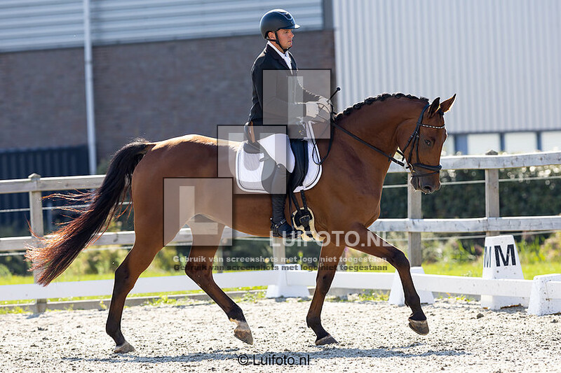 Hillegom dressuur September 22