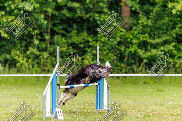 Agility KC Assen 7 juni 2025