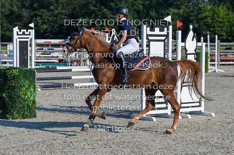 1 Klasse Ponys 70-80