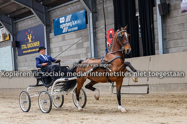 Nieuwelingen houten hengstenshow stal landzicht 2025
