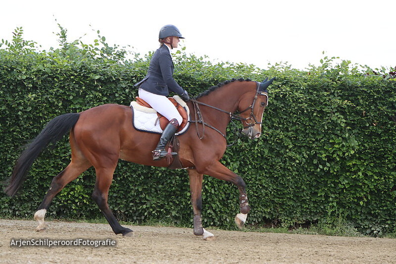 CH Wanneperveen 27-05-2022 Prijsuitreiking B 100cm