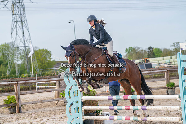 Zilfias 80/90cm 13/04/2024