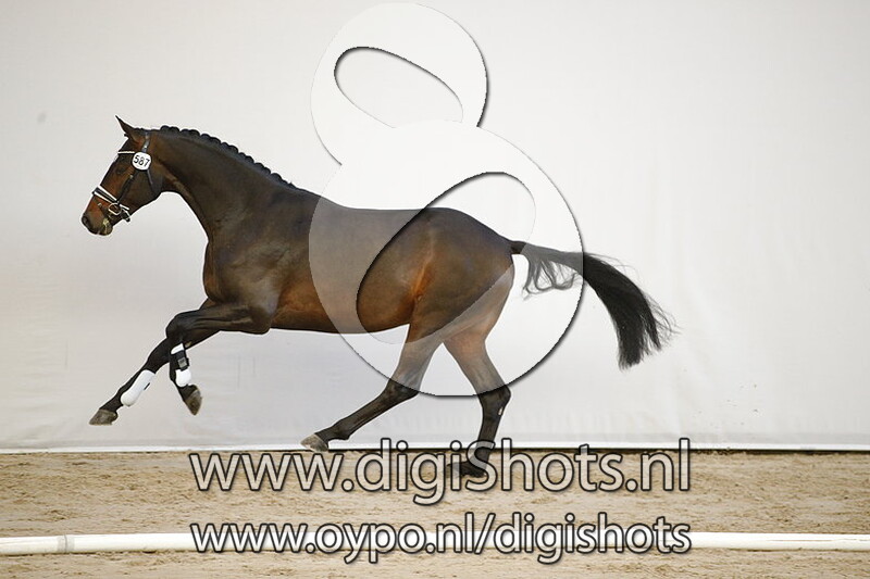 Voyager RS2 v. Vitalis