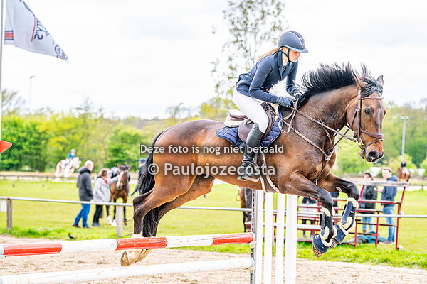 Springen NHRV Aerdenhout 100cm Paarden