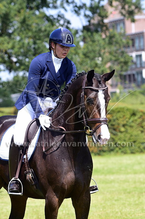 Ring 7 M1 paarden groep 1