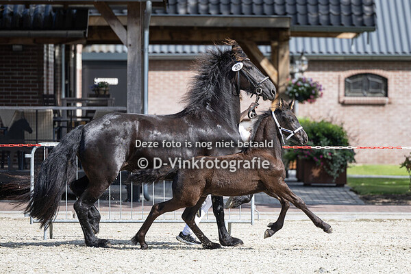 20. Dirk van Stal Wallink