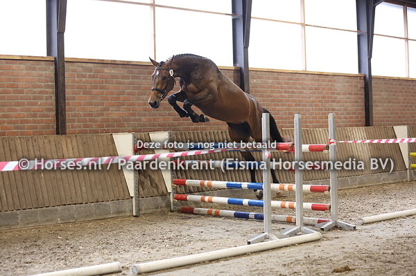 28 S-Newia (Poker de Mariposa x N-Newia v. Highway TN)