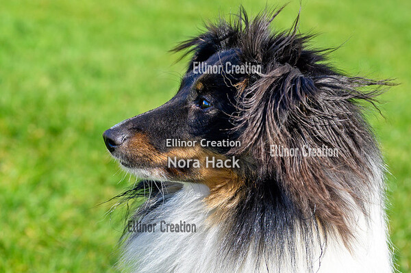 Zaterdag 26 februari 2022