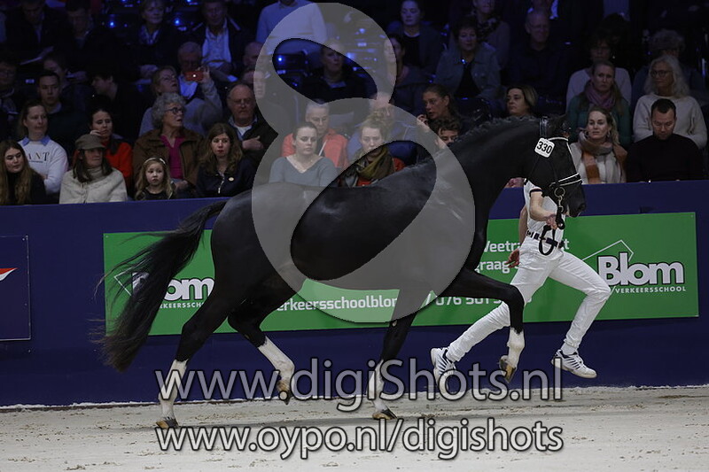 RibeÌry V.d.t. v. Don Juan De Hus - 330