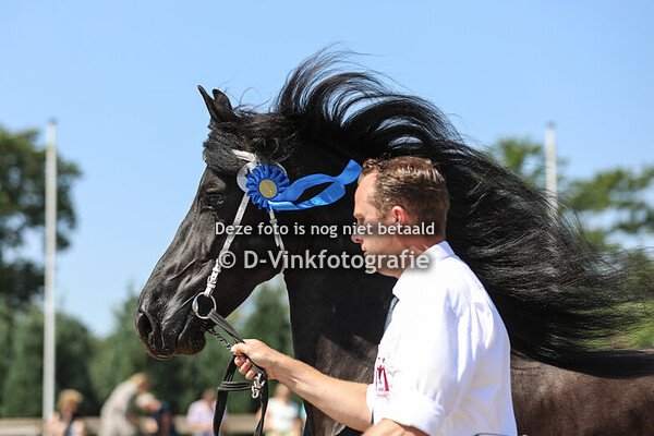 109. Driske Rjitske P