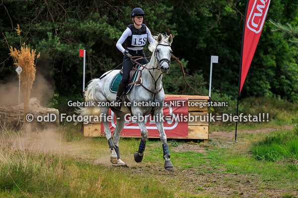 SGW Ede en Putten Paard B 22-06-25