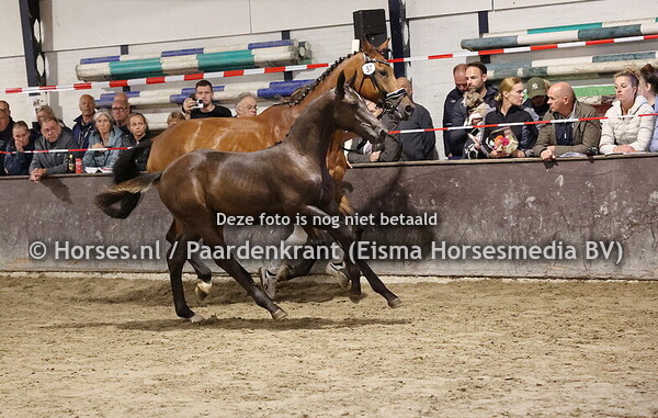 57 U Ar Extreme (Extreme US x Cadoryke)