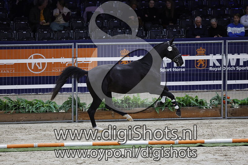 Rebel v. Mandienio WL - 611